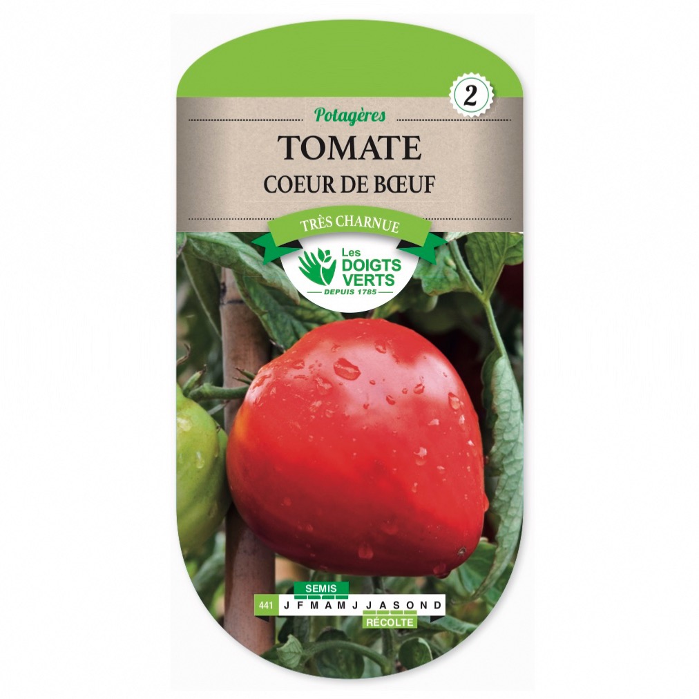 Graines de Tomates Coeur de boeuf d'Antan