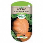 Graines Courge Musque de Provence - Les Doigts Verts