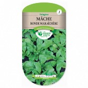 Graines Mche Ronde Marachre, Les Doigts Verts