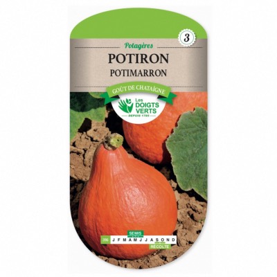 Graines de Potiron Potimarron - Les Doigts Verts