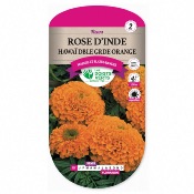 Graines Rose d'Inde Hawai Double Orange - Les Doigts Verts