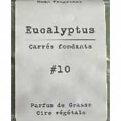 Pastille Parfume DRAKE Pour Brle Parfum Senteur Eucalyptus