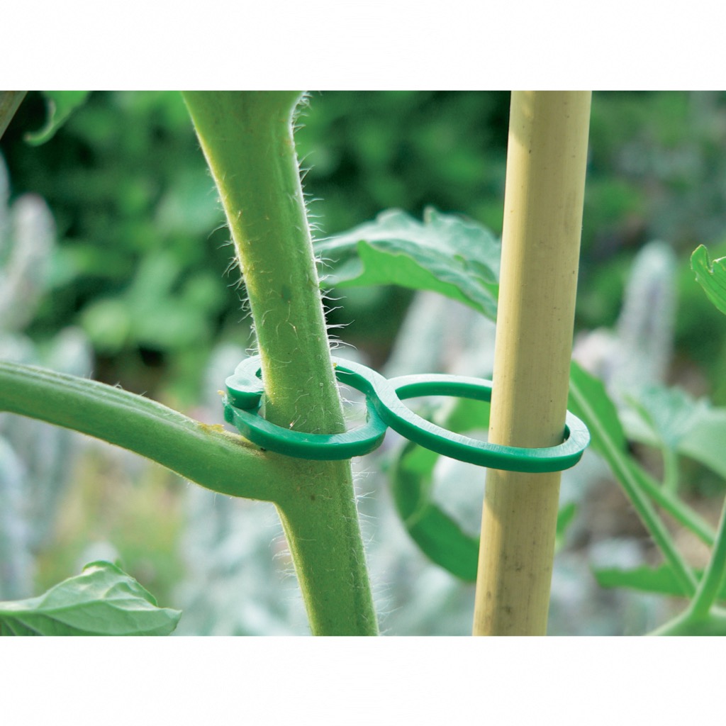 Clips Support Plantes FAINCA - 300 Pièces Transparentes - Pour Tomates, Plantes Grimpantes - Jardinage Potager