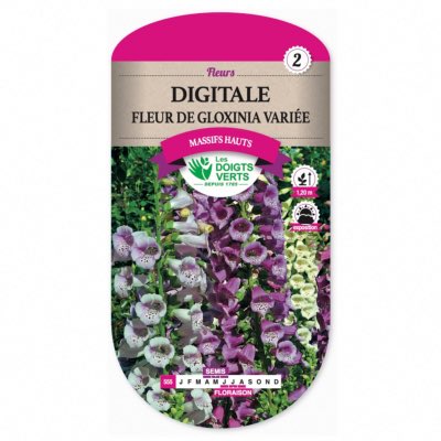Graines Digitale Fleur de Gloxinia Variée - Les Doigts Verts