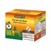 Pige Phromone Pour Pyrale du Buis Solabiol