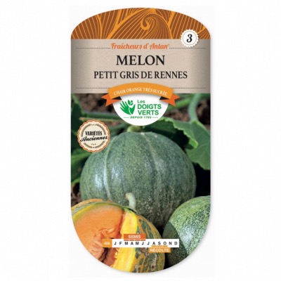 Graines Melon Petit Gris de Rennes - Les Doigts Verts
