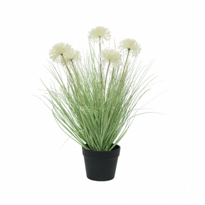 Herbe Et Fleur Allium Blanc En Pot Artificielles - Decoris