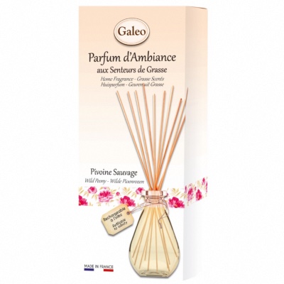 Coffret Diffuseur Parfum GALEO